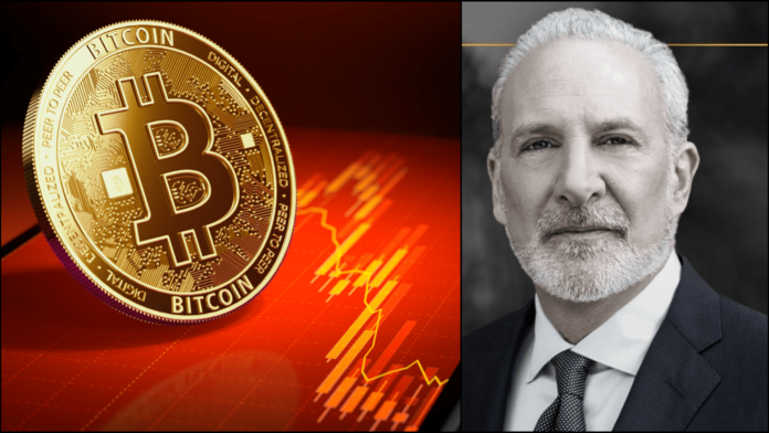 Investori by mali predať Bitcoin. Zdroj: youtube.com/c/peterschiff a Shutterstock.com/Wit Olszewski Investori by mali predať Bitcoin