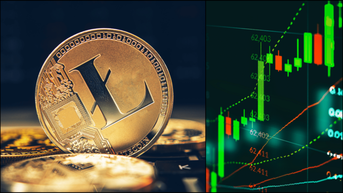 Litecoin čaká dôležitá udalosť. Zdroj: shutterstock.com/Champ008/Virrage Images Litecoin čaká dôležitá udalosť
