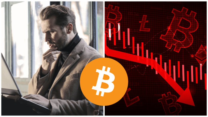 Prečo Bitcoin nemôže spadnúť na nulu. Zdroj: shutterstock.com/Visuals6x a pexels.com/Andrea Piacquadio Prečo Bitcoin nemôže spadnúť na nulu