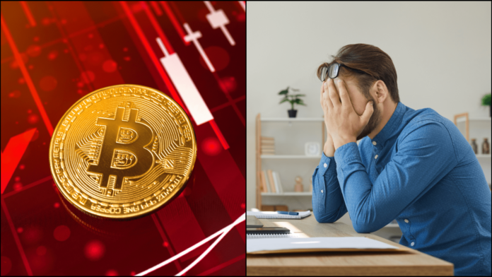 Šialený scenár pre bitcoin. Zdroj: shutterstock.com/FellowNeko/Studio Romantic Šialený scenár pre bitcoin