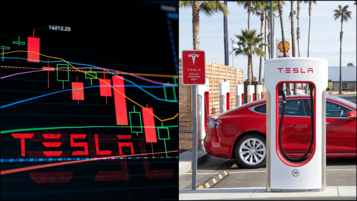 Tesla zažíva obrovský zostup. Zdroj: shutterstock.com/Sheila Fitzgerald/TY Lim Tesla zažíva obrovský zostup. Zdroj: shutterstock.com/Sheila Fitzgerald/TY Lim