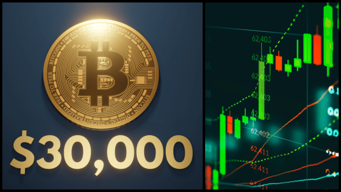 Môže bitcoin vyrásť až na 30 000 dolárov? Zdroj: shutterstock.com/Champ008/thisdesign Môže bitcoin vyrásť až na 30 000 dolárov?