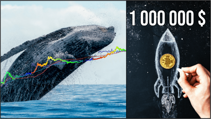 Bitcoin v hodnote 1 milión. Zdroj: shutterstock.com/Andrea Izzotti/Velishchuk Yevhen Bitcoin v hodnote 1 milión