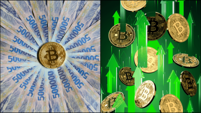 Kiyosaki očakáva bitcoin za pol milióna. Zdroj: shutterstock.com/Wit Olszewski/Phuong D. Nguyen Kiyosaki očakáva bitcoin za pol milióna