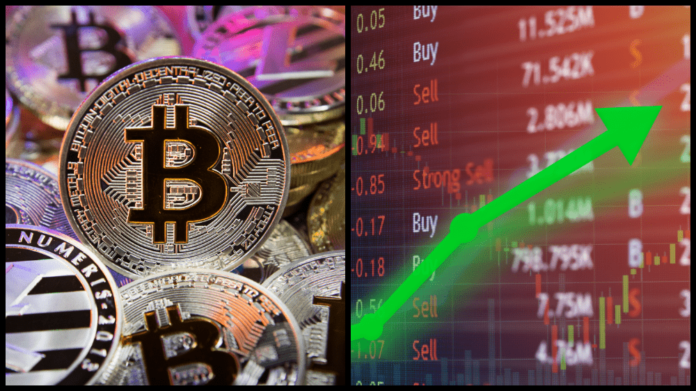 Kryptomeny zaznamenávajú masívny rast. Zdroj: shutterstock.com/Travis Wolfe/Dan Eady Kryptomeny zaznamenávajú masívny rast