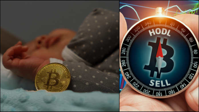Spiace bitcoiny. Zdroj: shutterstock.com/Anel Alijagic/Morrowind Spiace bitcoiny.