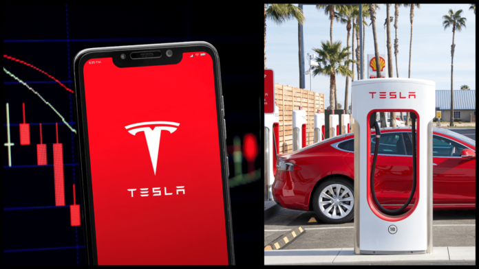 Tesla prežila najväčší pokles. shutterstock.com/JOCA_PH/Sheila Fitzgerald Tesla prežila najväčší pokles