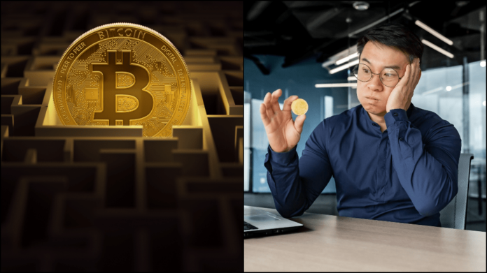 Bitcoin, ktorý je navždy stratený. Zdroj: shutterstock.com/voronaman/Wit Olszewski Bitcoin, ktorý je navždy stratený
