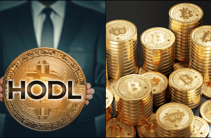 Hodleri ovládajú bitcoin