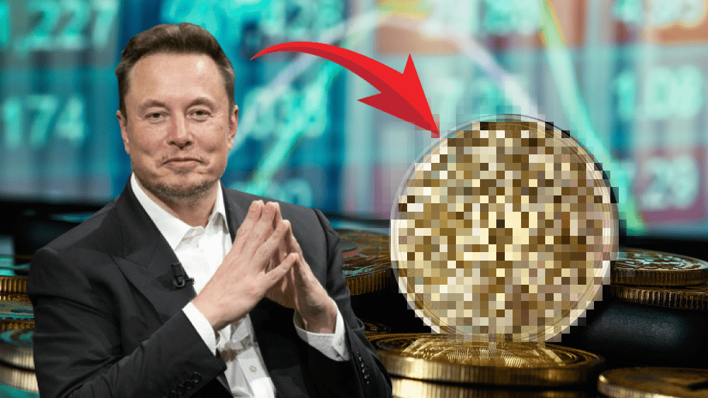 Elon Musk a kryptomena Cardano