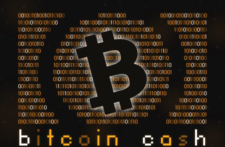 Kto podporuje Bitcoin Cash