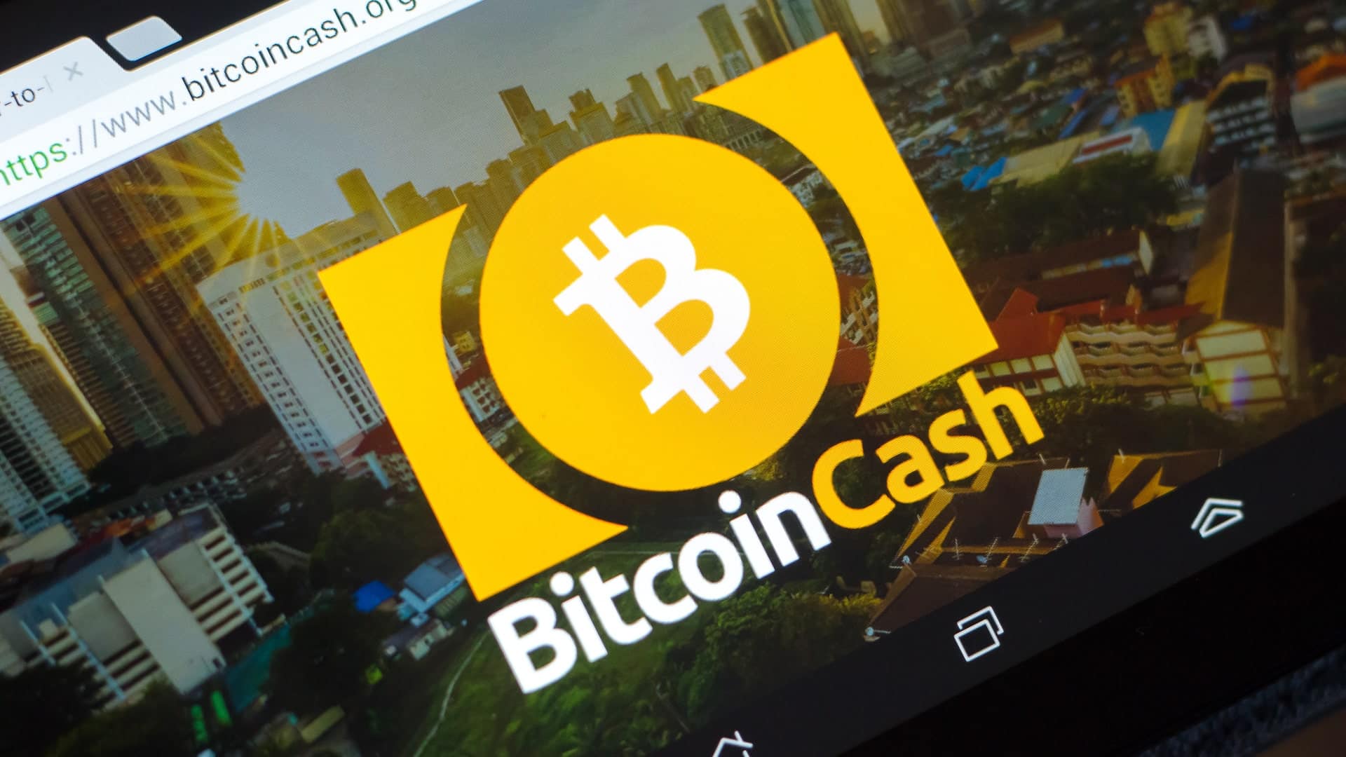 konec zmatku - Bitcoin Cash adresy
