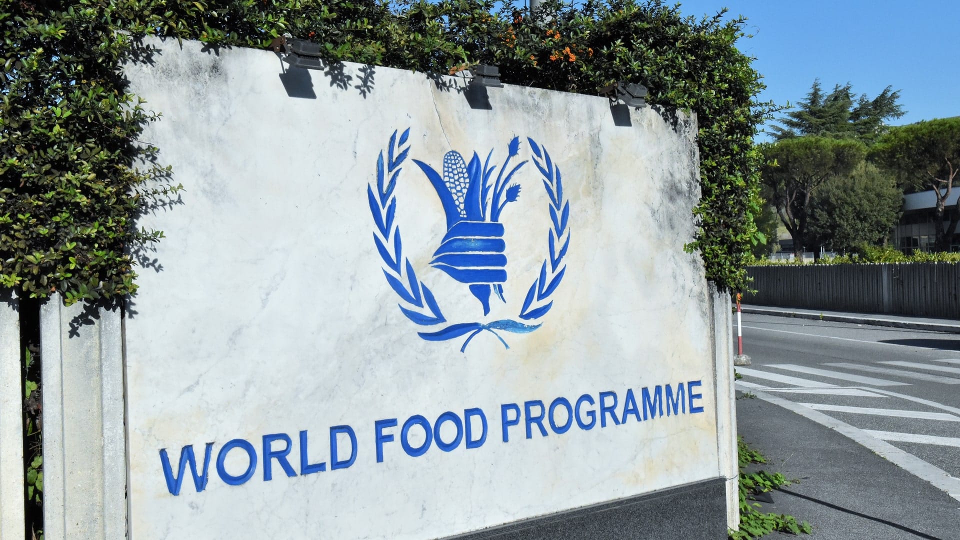 World Food Programme prešiel na blockchain
