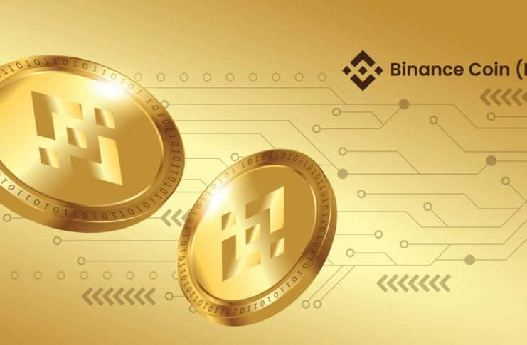 Binance Coin prináša zisky, napriek prepadu hlavných kryptomien.