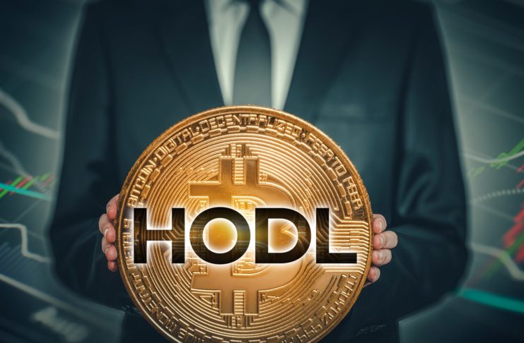Hodl alebo hold - ide o preklep?