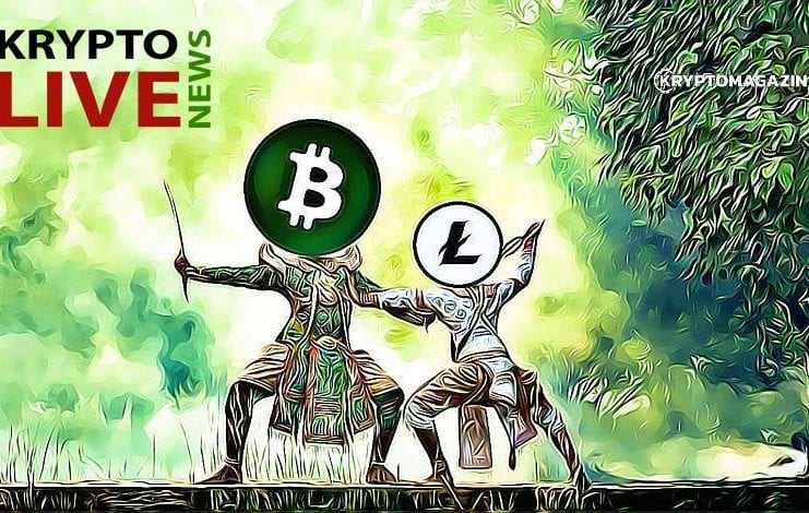 Krypto News LIVE stream