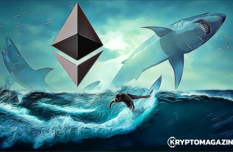 hodl ethereum
