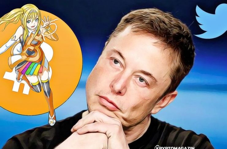 elon musk twitter bitcoin