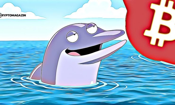 bitcoin whale veľryba
