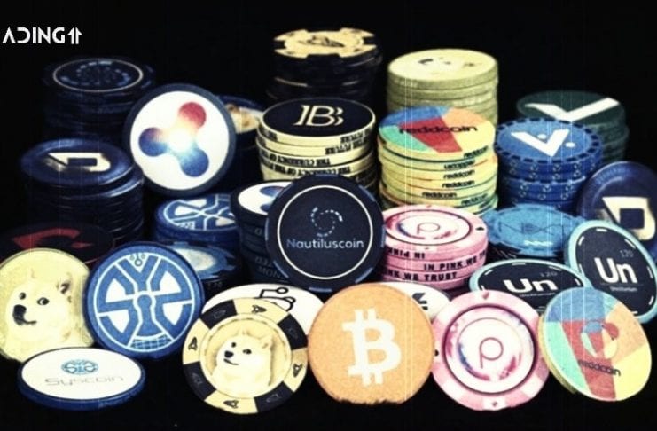 crypto anketa trading11