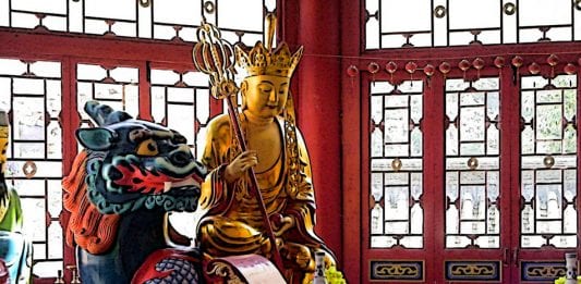 cina-drak