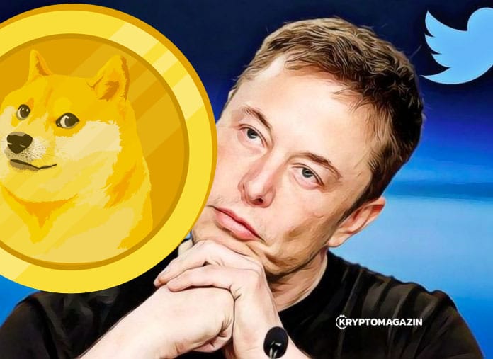 Elon Musk Holding Dogecoin : Pourquoi Dogecoin a immédiatement bondi de ...