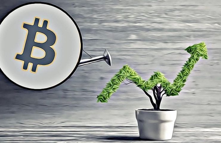 bitcoin rast up support