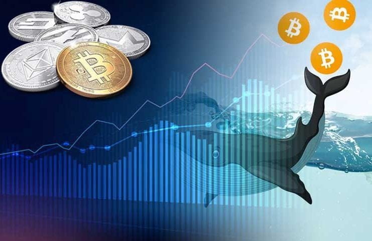 veľryby_whales_bitcoin