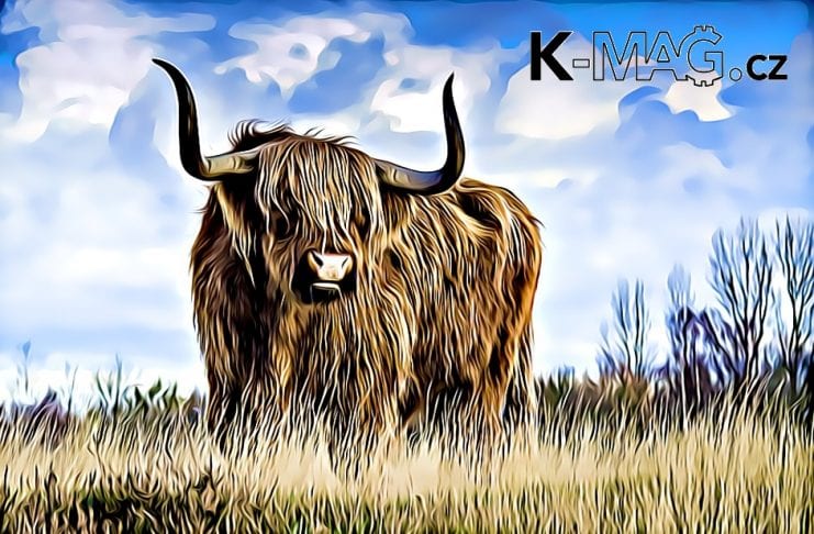 bullrun
