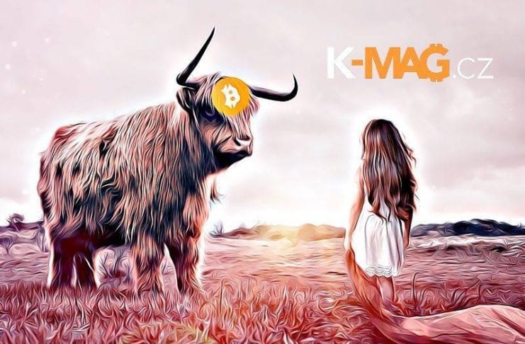 bull bitcoin