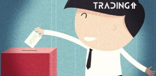 anketa trading11