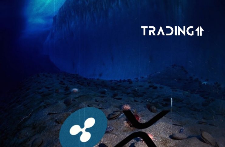 dno ripple xrp