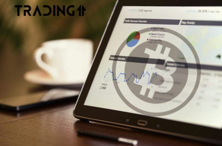BTC-Bitcoin-graf-statistika
