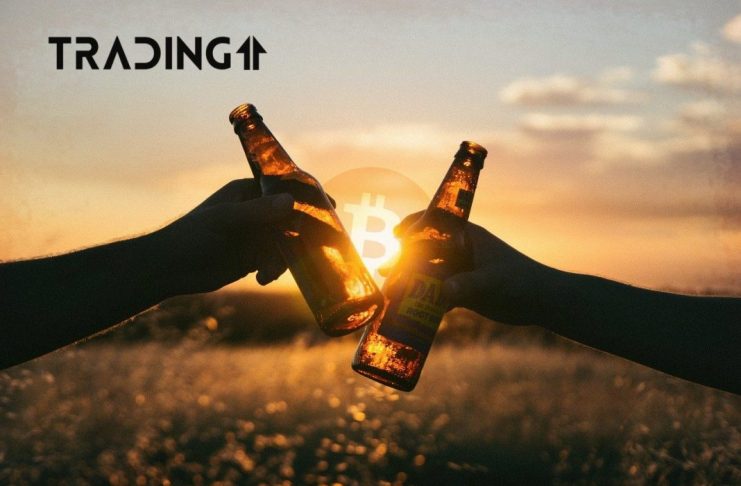 BTC-Bitcoin-rast-up-oslava-celebration