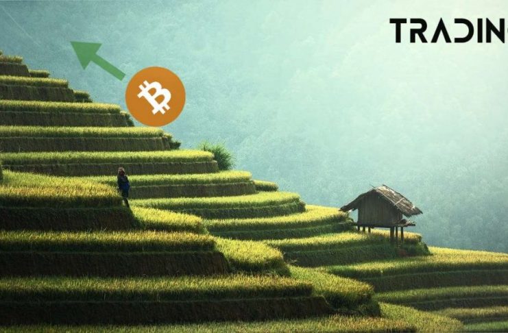 Bitcoin -btc-up