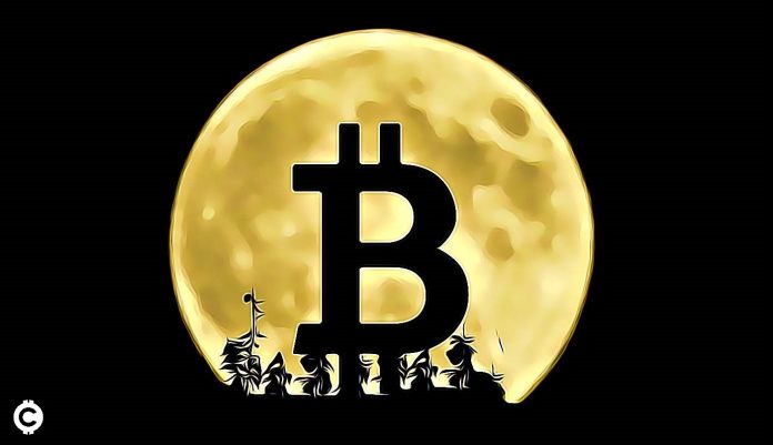 bitcoin moon obchodovanie trading predikcie.jpg bitcoin moon obchodovanie trading predikcie.jpg
