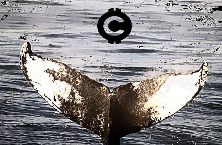XRP