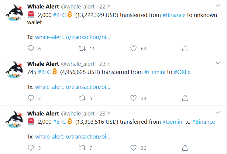 crypto whale, Whale alert: 15855 BTC se přesunulo na anonymní peněženky! Co plánují velryby?