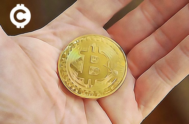 správy bitfinex