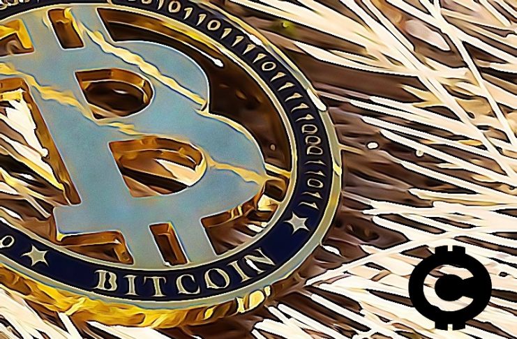 zlato bitcoin celebrity