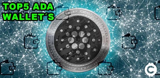 top5_ada_wallets_km