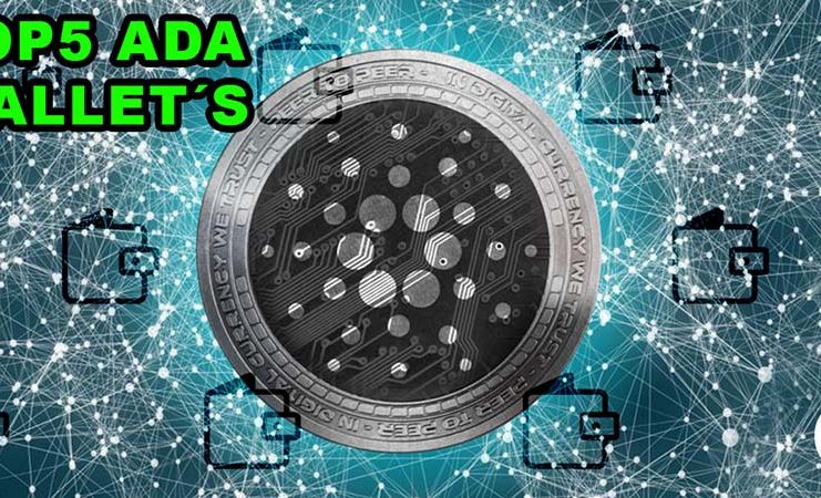 top5_ada_wallets_km
