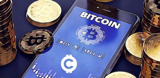 BCH halving