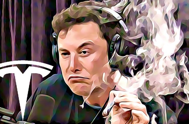 elon musk fajci marihuanu joe rogan