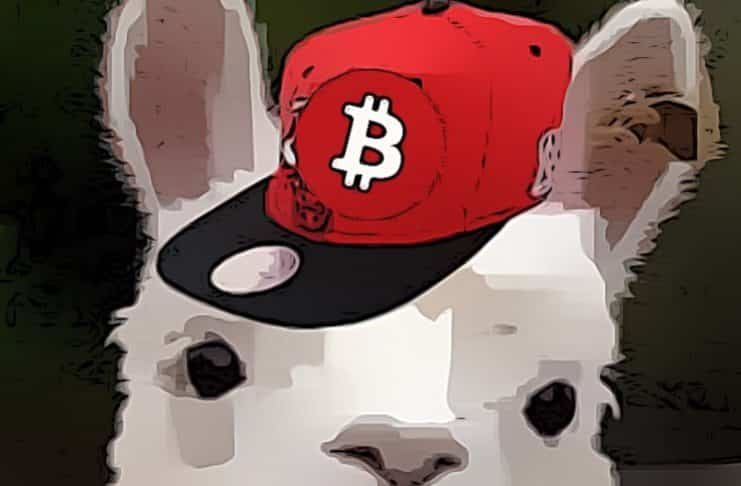 analýza