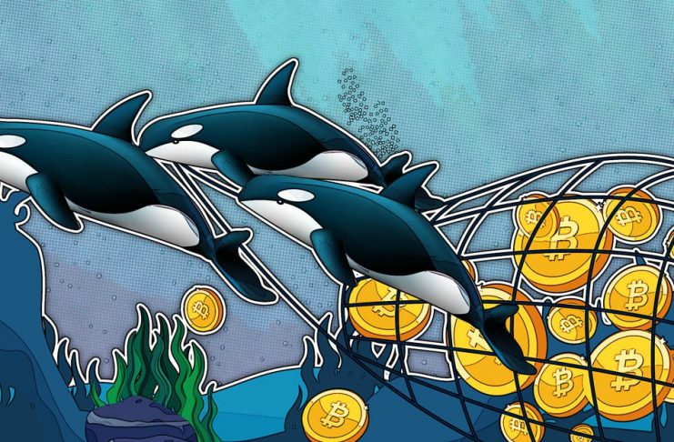 BITCOIN-WHALES-QUIETLY-STOCKPILED-150K-BTC-IN-LAST-TWO-MONTHS
