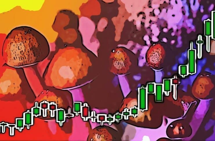 psychedelicke akcie rastu boom 2020 psilocybin