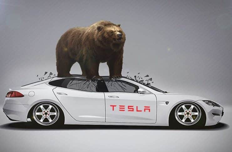 Tesla bear market