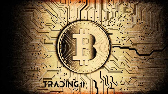 bitcoin analýza trading11 btc kryptoměny