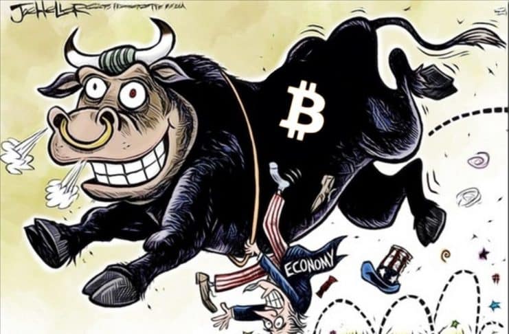 Bitcoin bull high